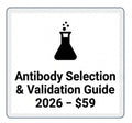 Antibody Selection & Validation Guide 2026